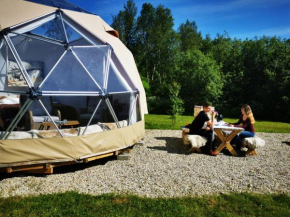 Wild Caribou Dome